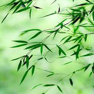 宝宝当店长免费小游戏下载安装